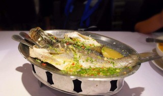 清蒸绿茶鲫鱼做法(清蒸茶鲫鱼怎么做)