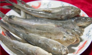 海鲶鱼怎么储存保鲜 鲶鱼如何保鲜