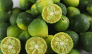 小青金桔怎么保鲜（小青金桔怎么保鲜储存）
