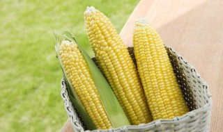 玉米棒怎么放冰箱保鲜 玉米棒怎么放冰箱保鲜的