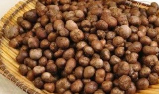 山药仔怎么煮好吃（山药仔怎么做好吃法）