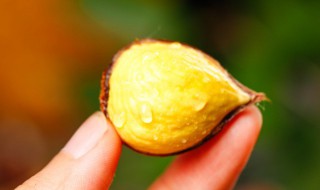 栗子怎么煮了好吃（栗子怎么煮好吃又好剥皮用电饼铛）