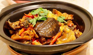 红烧鳖肉怎么做（老鳖红烧肉的做法是怎么做）