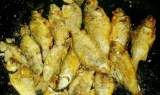 香煎小河鱼如何做（香煎小河鱼如何做才好吃）