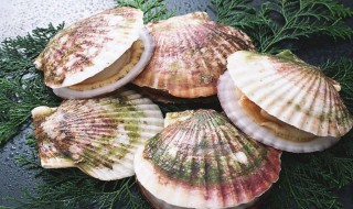 扇贝如何冷冻保存 扇贝冷冻保存是把肉取出来好还是完整的好