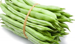 四季豆怎么保鲜不易老（四季豆怎么保鲜不易老呢）