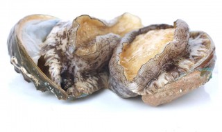 新鲜鲍鱼怎么存放保鲜 新鲜鲍鱼怎么存放保鲜不会坏