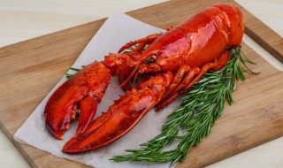 熟食龙虾怎么保鲜（熟食龙虾怎么保存）