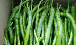新鲜辣椒怎么保鲜时间比较长 新鲜辣椒怎么保鲜时间比较长一些