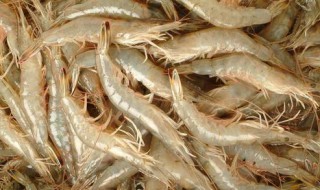 海虾适合怎么保鲜(海虾怎么保存才新鲜)