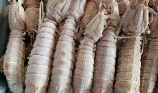 皮皮虾冷冻怎么保鲜 皮皮虾怎样冷冻才能保鲜