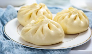 油面包子怎么做才好吃(油面包子怎么做好吃法)