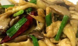 平菇蒜苗小炒肉怎么做（蒜苗平菇炒肉片）