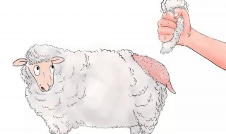 薅羊毛是什么意思(薅羊毛是什么意思怎么读)