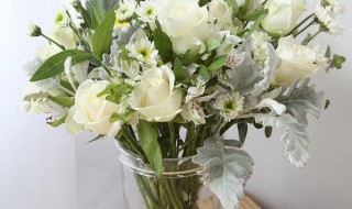 鲜花保鲜剂怎么用 花之隆鲜花保鲜剂怎么用