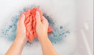 杨梅汁弄衣服上怎么洗干净（衣服弄到杨梅汁怎么洗才能洗掉）