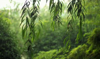 梅雨季节怎么保持室内干燥（梅雨季节怎样保持室内干燥）