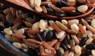 糙米红米黑米能天天吃吗（黑米红米糙米可以天天吃吗）