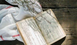 子曰朝闻到夕死可矣的意思（子曰朝闻道夕死可矣的意思翻译）