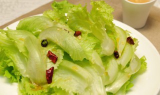 生菜怎么种长得快（生菜怎么样才能快速生长）