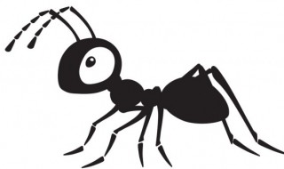 蚂蚁会摔死吗（蚂蚁会摔死吗视频）