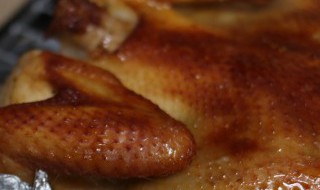 碳锅鸡怎么做 碳锅鸡怎么做好吃