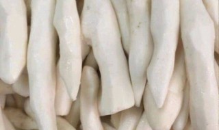 炊姜薯酵怎么做 姜薯怎么煮