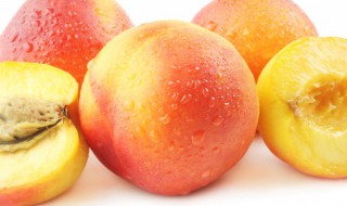 桃应该怎么种（桃子怎么栽种）