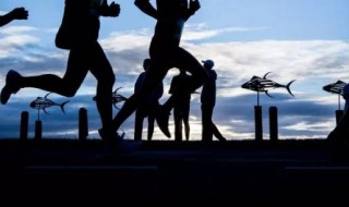 马拉松世界纪录男女分别是多少（男子马拉松世界记录）