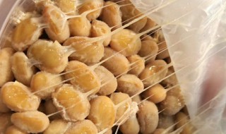 纳豆丁怎么做(纳豆丁怎么做好吃)