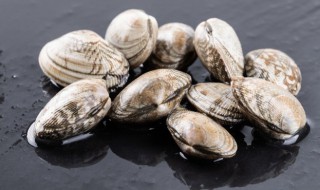 蒜蓉炒花甲的做法（蒜蓉炒花甲的做法 家常）