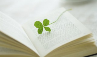 闲言冷语的意思 闲言冷语的意思是什么