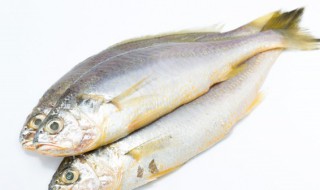 姜葱炖草鱼怎么做（姜葱炖草鱼怎么做好吃）