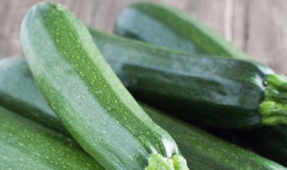 白瓜怎么种 种白瓜怎么种