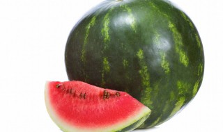 西瓜怎么种没籽 为什么西瓜籽种不出西瓜