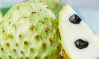 释迦果的籽怎么种 释迦果的籽怎么种小盆栽视频