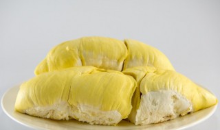 榴莲子怎么种（榴莲子怎么种植方法技术）