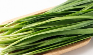 韭菜怎么种长得快(韭菜怎么种长得快又好看)