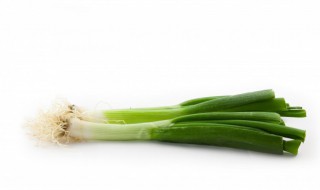 香葱籽怎么种 香葱籽怎么种才能尽快发芽