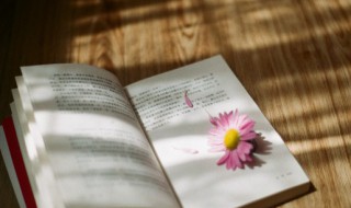 华灯初上夜未央是什么意思（华灯初上夜未央是什么意思啊 视频）