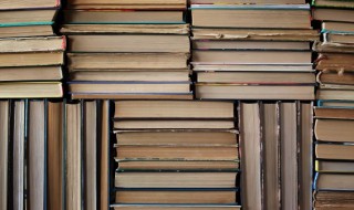 喰种是什么意思 喰种是什么意思啊?