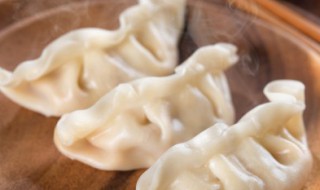 莲藕韭菜猪肉水饺的做法（莲藕韭菜猪肉水饺的做法视频）