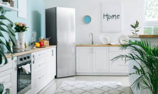 冰箱冷冻室结冰怎么处理 美菱冰箱冷冻室结冰怎么处理