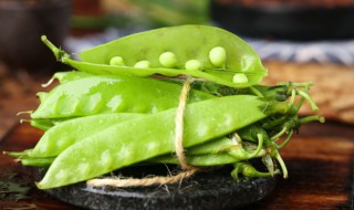 荷兰豆贮藏管理技术 荷兰豆的栽培管理技术