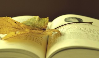 嘎组词（嘎组词组词语）