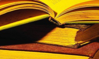 子不学非所宜的意思及出处（子不学非所宜怎么解释）