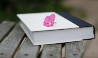 技字组词（祭字组词）