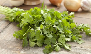 香菜贮藏保鲜技术 香菜贮藏保鲜技术视频