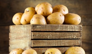 马铃薯咋贮藏(马铃薯咋贮藏好)