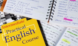 它的英语怎么写 它的英语怎么写的